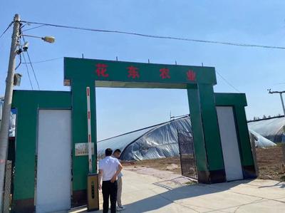 媒體看高青鎮(zhèn)街行丨花溝鎮(zhèn):抓經(jīng)濟(jì)保民生促發(fā)展 奮力描繪鄉(xiāng)村振興富民強(qiáng)村新畫(huà)卷